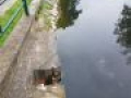 20170809 084534